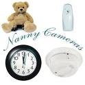 Nanny Cams Knoxville TN